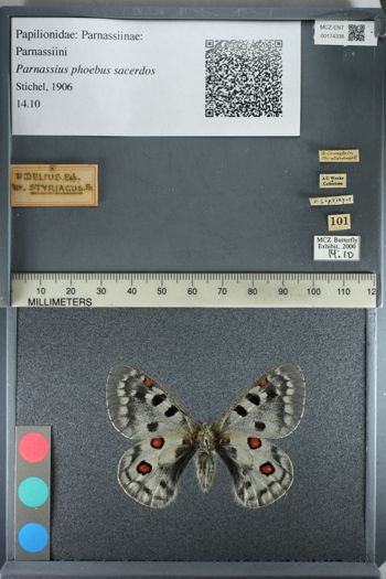 Media type: image;   Entomology 174338